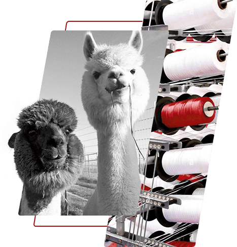 Boyalı polyester iplik