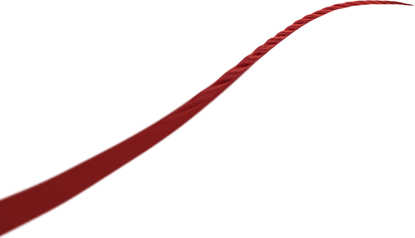 Tongxiang Baoyi Textil Co., Ltd.